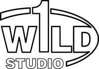 Wild One Music Studio Opening